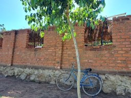 Africa Photo Gallery